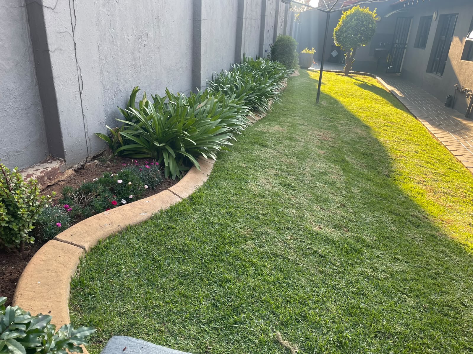 Simple grass strip transformed into a formal topiary garden — before