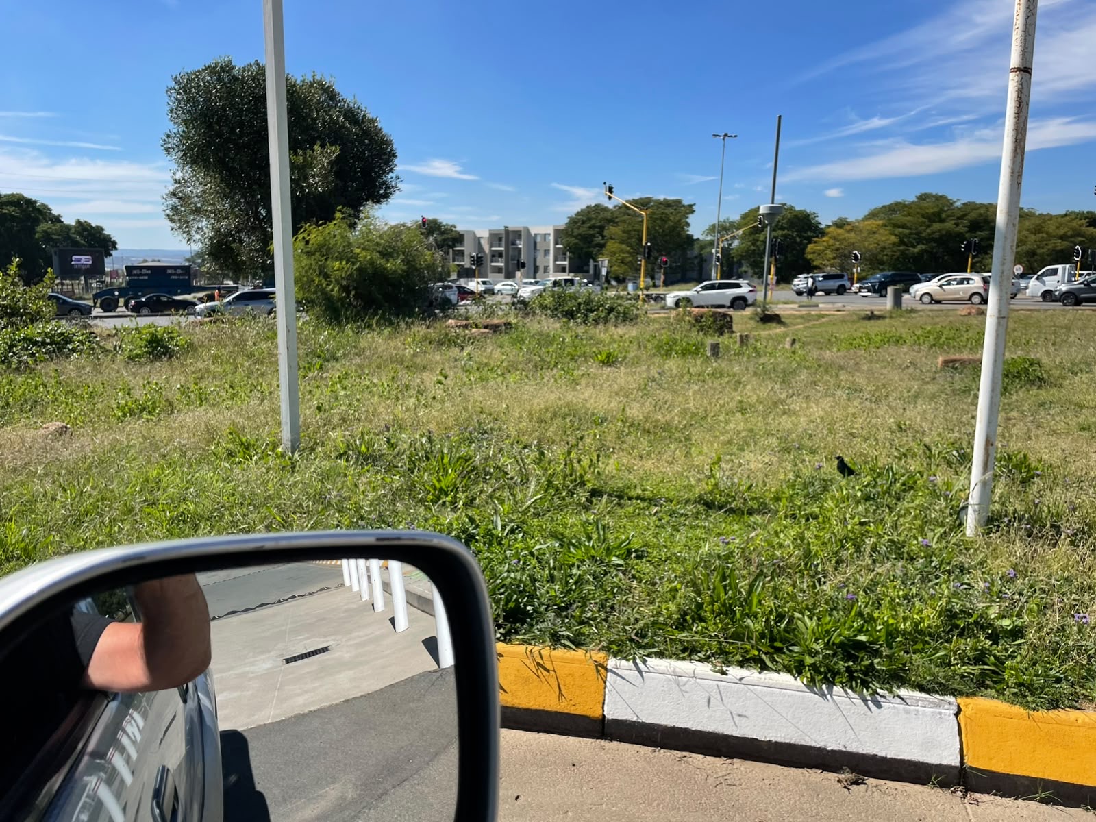 Neglected traffic island trimmed and tidied — before