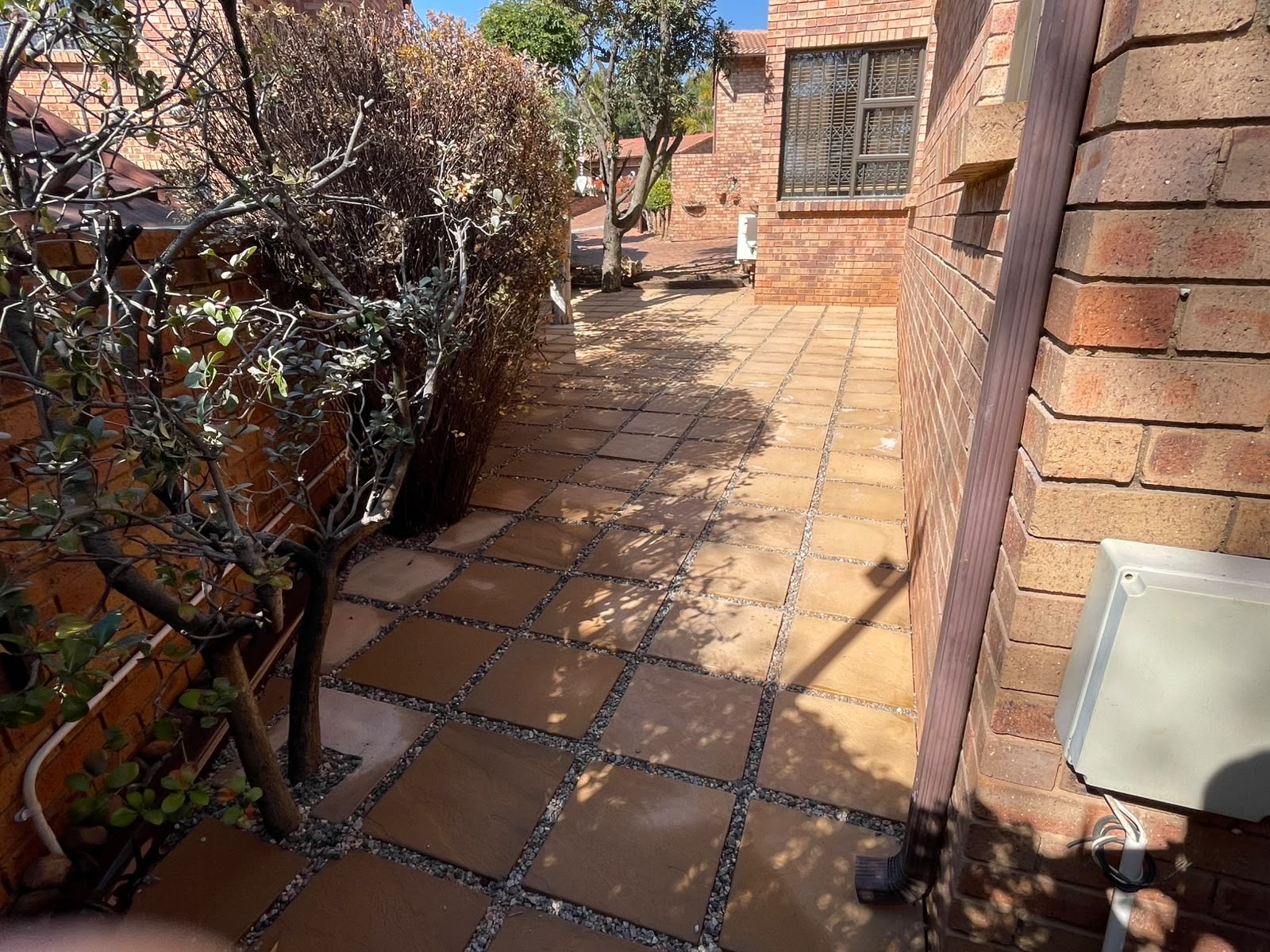 Front garden rework with new paving and planting — after