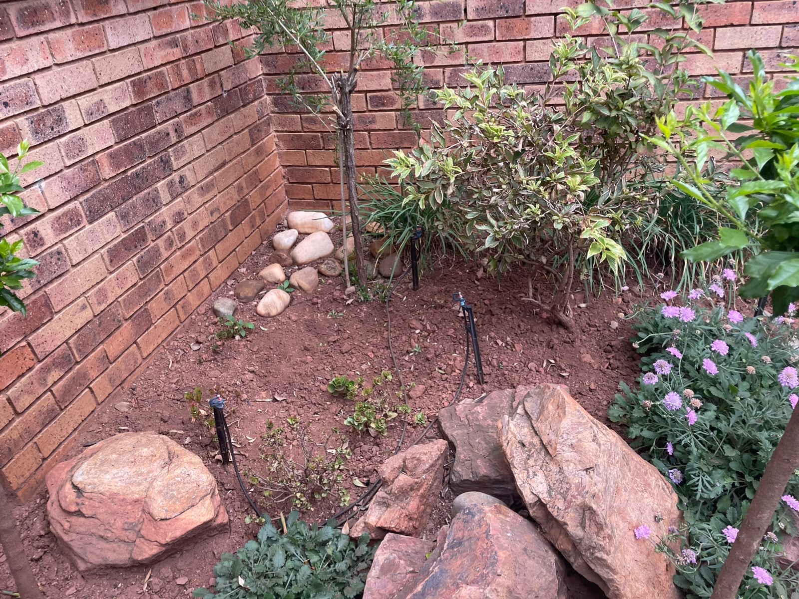 Neglected corner reborn as a tiled courtyard — before