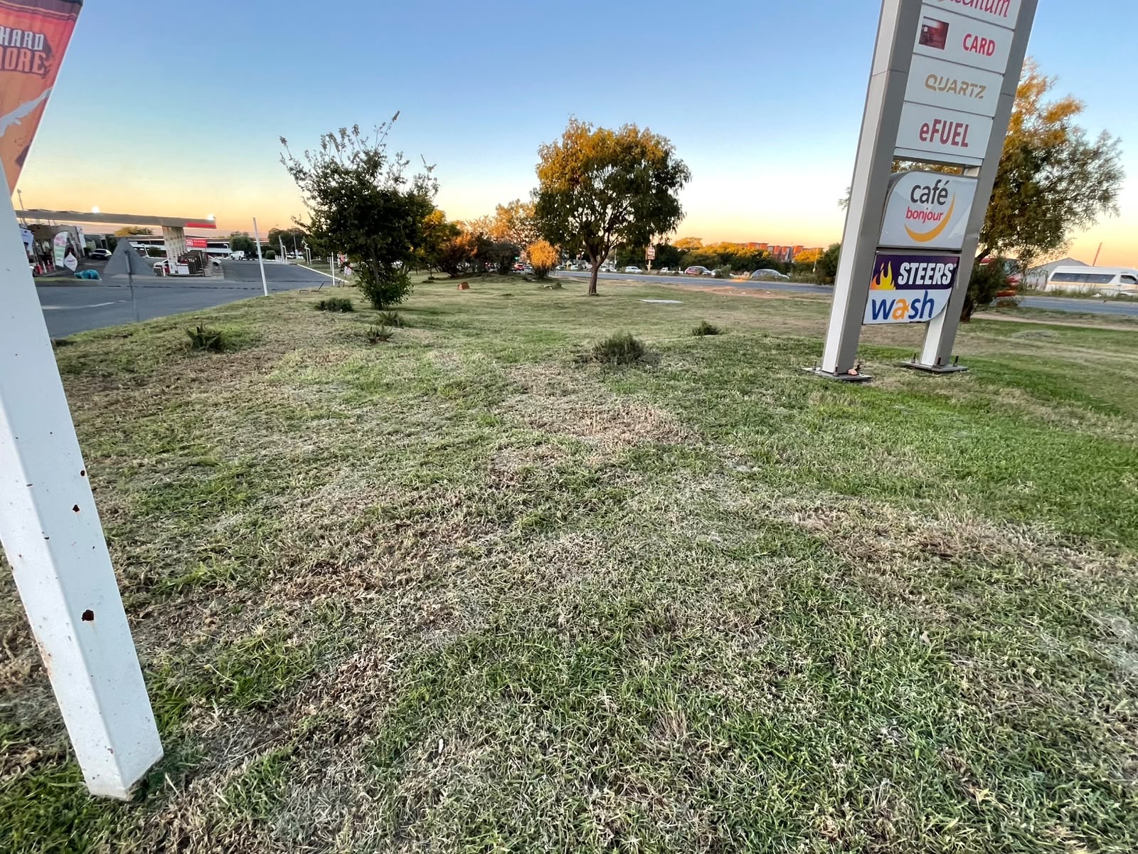Neglected traffic island trimmed and tidied — after