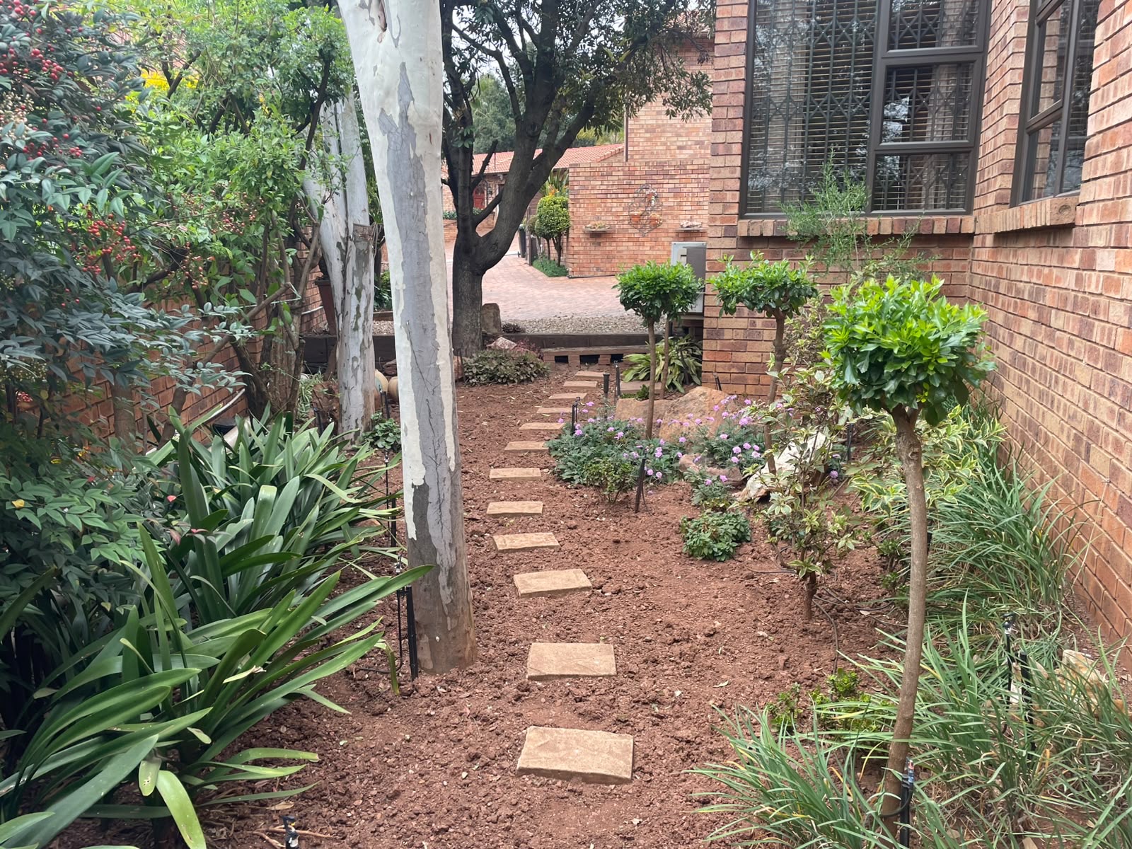Bare soil transformed into a paved courtyard path — before