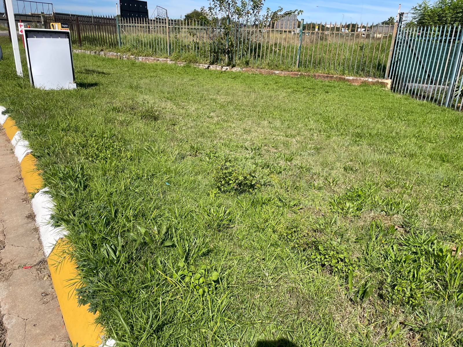 Weedy verge restored with fresh paving and lawn — before