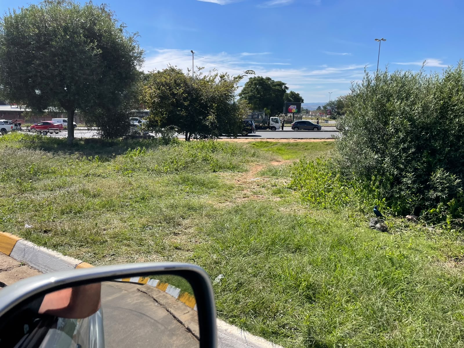 Overgrown median cleared and manicured to lawn — before