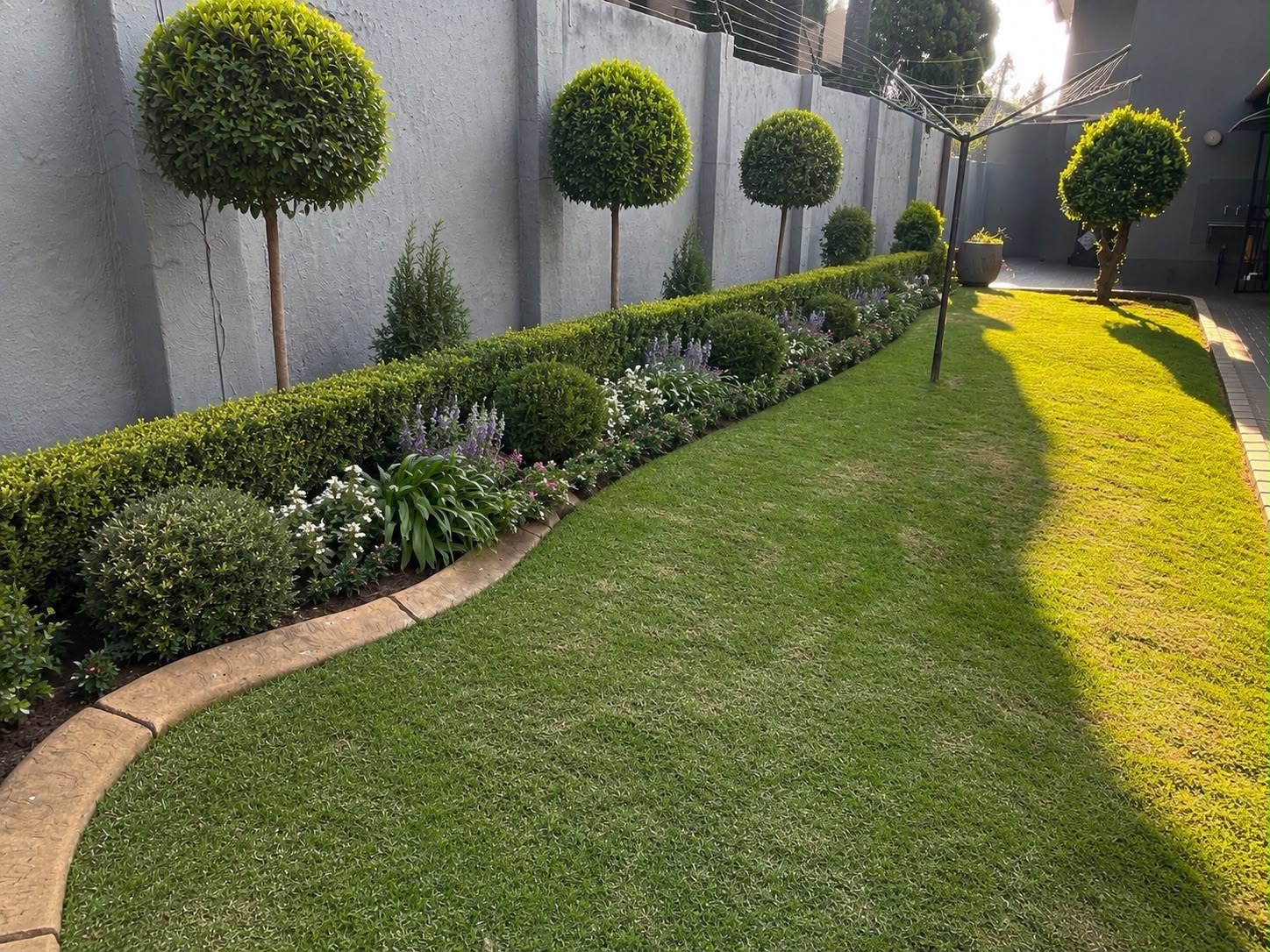 Tired backyard lawn reimagined with topiary and manicured borders — after